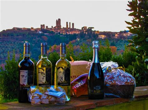 “San Gimignano” Wine Tasting at Palagetto winery