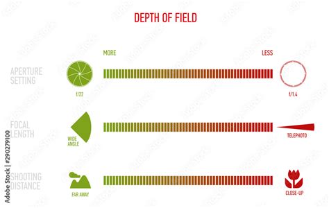 Illustration of Depth of Field Chart Stock Vector | Adobe Stock