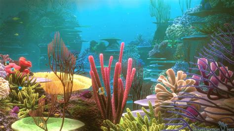 Coral Reef Wallpapers - Wallpaper Cave Under The Sea Background, Background Images, Wallpaper ...