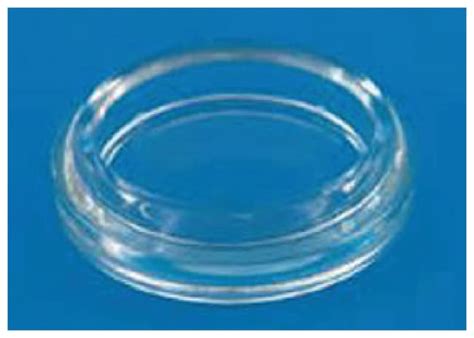 Syracuse Watch Glasses Syracuse Watch Glass; 12/Pk.:Dishes | Fisher Scientific