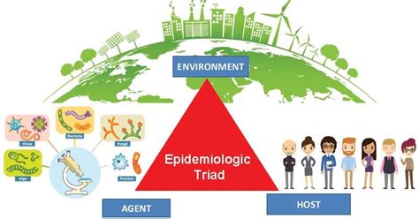 Epidemiologic Triad- Agent, Host, Environment | Triad, Infection prevention, Microbiology