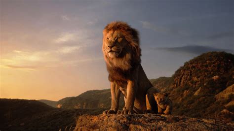 1920x1080 The Lion King 1080P Laptop Full HD Wallpaper, HD Movies 4K Wallpapers, Images, Photos ...