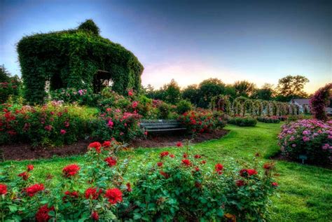 Stop and Smell the Roses- The Best Rose Gardens in the U.S