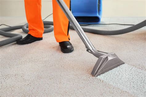 Professional Carpet Steam Cleaner | Safe-Dry® Carpet Cleaning