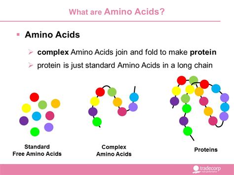 Tradecorp | Australia | Amino Acids Peptides and Proteins Diagram