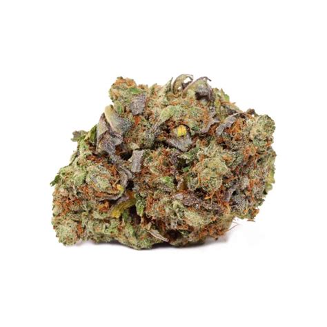 Order EL Jefe | Bulk Buddy Dispensary Canada | Buy Weed Online