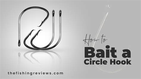 How to Bait a Circle Hook: Learn from Expert