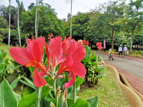 Taman Botani Putrajaya | Menarik di Central