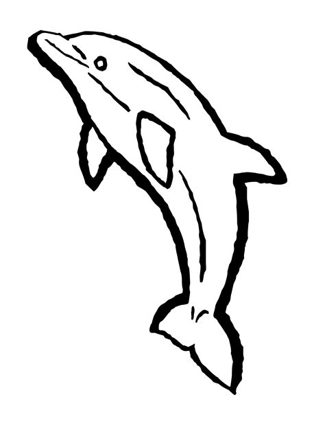 Baby Dolphin Coloring Pages | Free download on ClipArtMag