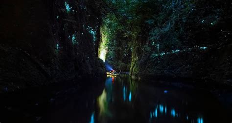 Glow Worm Cave Tours | Everything New Zealand