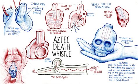 Aztec Death Whistle Study on Behance