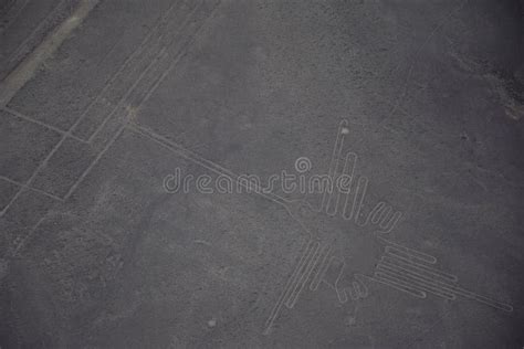 Aerial View of the Hummingbird Geoglyph at the Nazca Lines in Peru. Stock Image - Image of ...