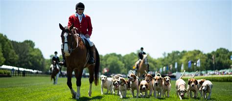 Race Day Details | The Queen's Cup Steeplechase