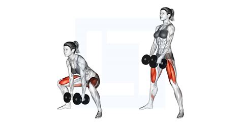 Dumbbell Sumo Deadlift - Guide, Benefits, and Form