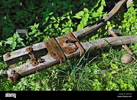 Old wagon tongue and stinging nettles, Bavaria Stock Photo - Alamy