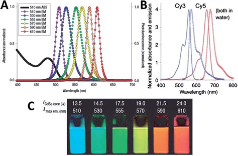 Optical properties of quantum dots. (A) Absorption and emission spectra ...