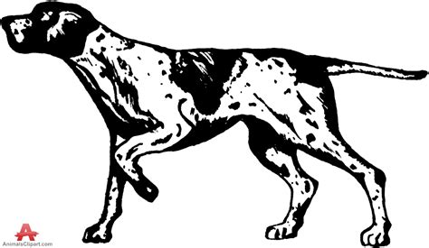 Hunting dog clipart 20 free Cliparts | Download images on Clipground 2024