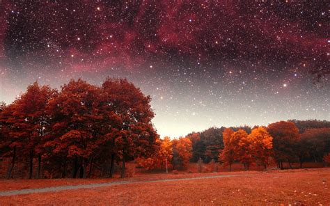 Wallpaper : fall, night, stars, atmosphere, autumn, star, astronomical ...