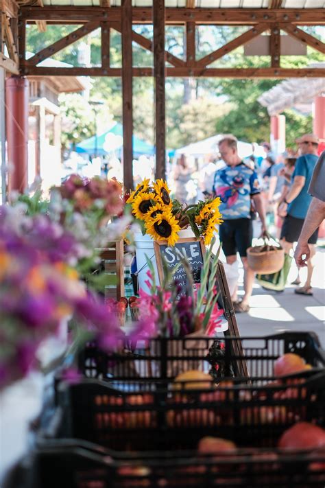 Visit Us — Carrboro Farmers' Market