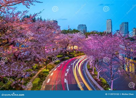 Night View of Tokyo Midtown in Roppongi, Japan Stock Photo - Image of largest, flower: 113973152