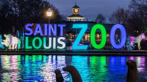 Saint Louis Zoo's Wild Lights returns this month | ksdk.com