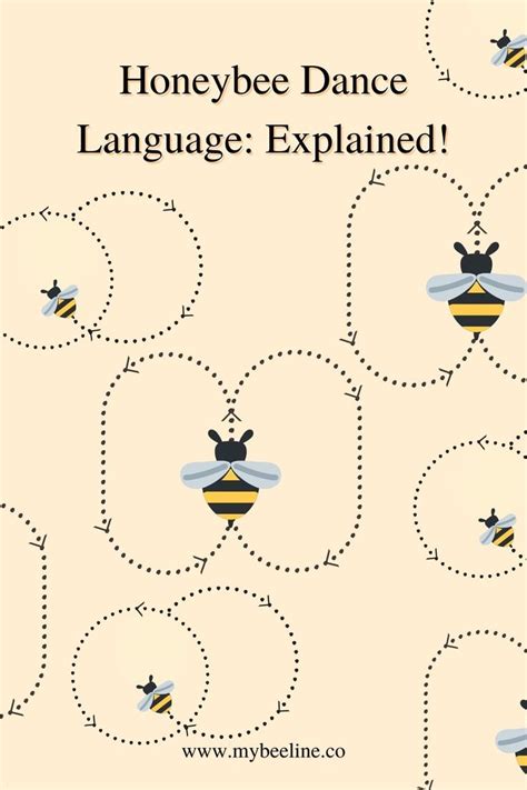 Honeybee Dance Language: Explained! | Bee activities, Bee crafts for ...