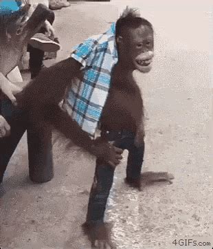 Monkey Cool GIF - Monkey Cool Mood - Discover & Share GIFs