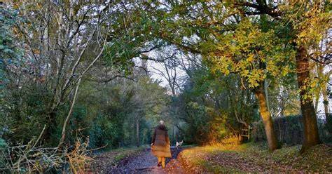 Weather forecast for Coventry and Warwickshire as UK enjoys 'second ...