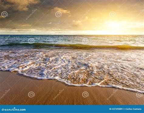 Seashore Sunset stock image. Image of marine, green, ocean - 43749889