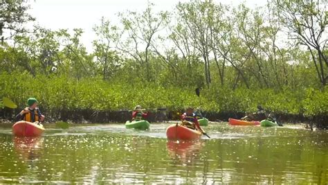 Hillsborough County Parks and Recreation : Hillsborough Television ...