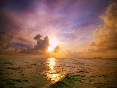 Summer Sunset Wallpaper - WallpaperSafari