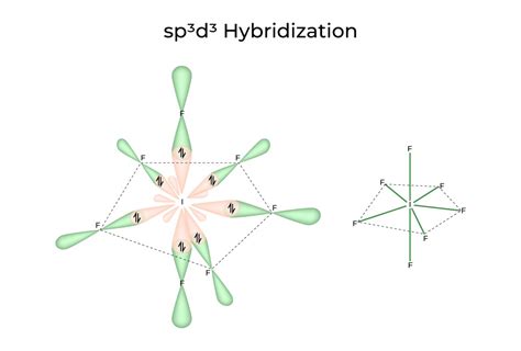 Hybridization - Definition, Types, Rules, Examples - GeeksforGeeks