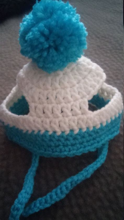 Small dog hat | Crochet dog clothes, Crochet cat hat, Crochet dog hat free pattern