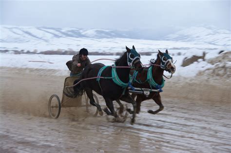 Ross Walker photography: Chariot race photos