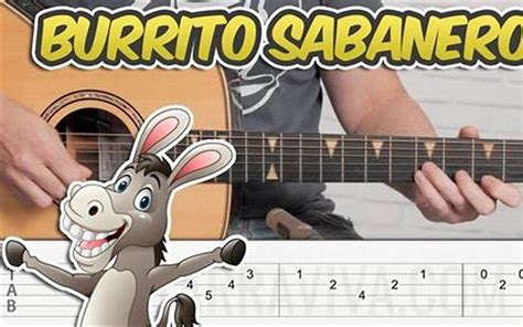 Mi Burrito Sabanero Guitar Chords - Burrito Yummy