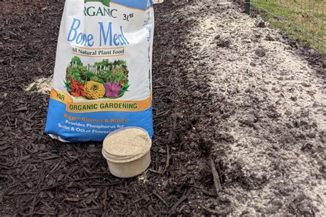 7 Reasons To Use Bone Meal Fertilizer In The Garden