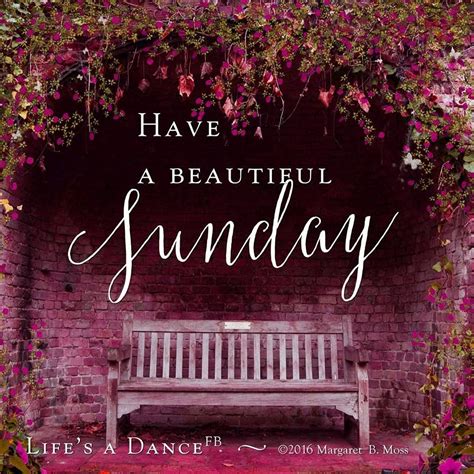 Happy Sunday! Enjoy your day of rest. | Have a beautiful sunday, Sunday morning quotes, Sunday ...