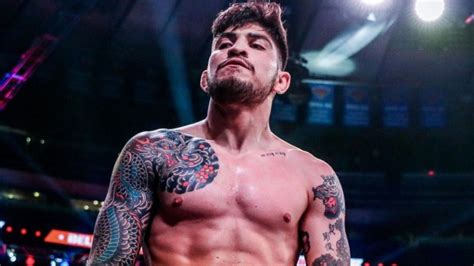 What is Dillon Danis' jiu jitsu record? | The US Sun