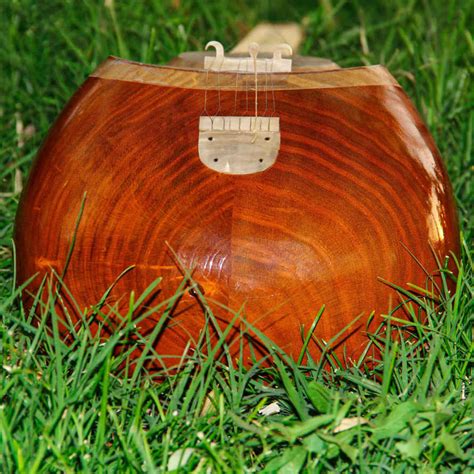 Iran-Saz Tar String Instrument Model 2 Stamp » ShopiPersia