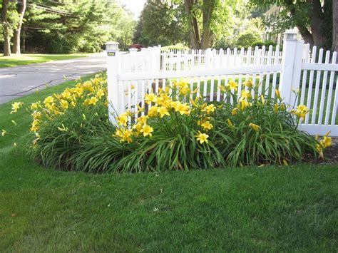 Lily Garden | Blooms in My Little Piece of the Planet | Pinterest | Lily garden, Gardens and ...