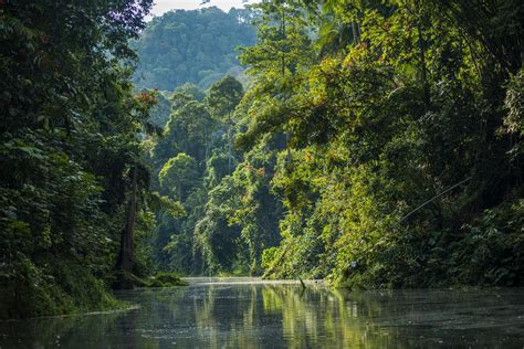 Adventurers Beware: The 9 Most Dangerous Jungles in the World – Fodors Travel Guide