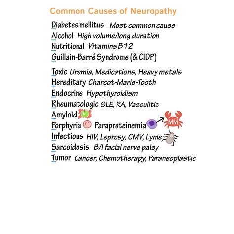 Neuroanatomy Glossary: Polyneuropathies: Histopathology & Common ...