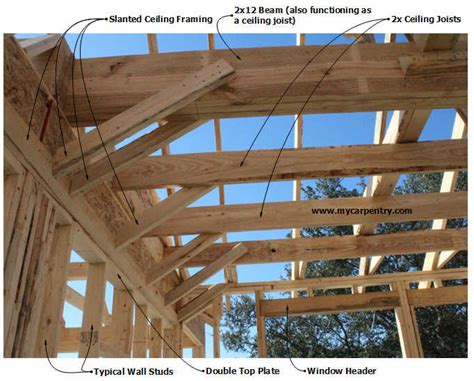 Framing Ceiling Joists | Shelly Lighting