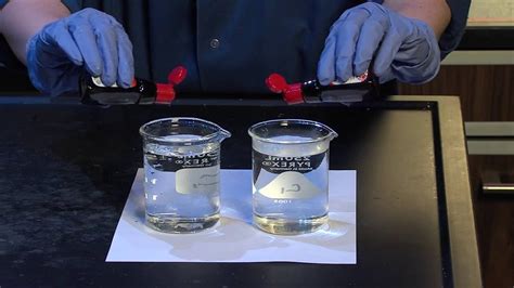 Diffusion And Osmosis Lab