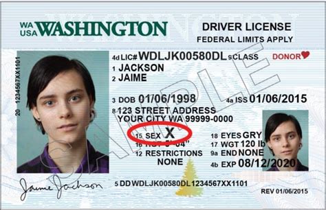 Washington takes next step to acknowledge more than two genders on ID cards - Schwartzreport