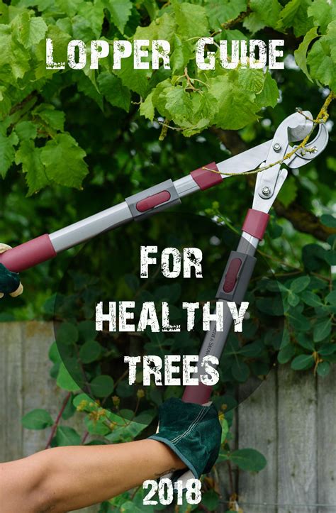 Buyer’s Guide: The Best Loppers For Pruning 2021 | ForGardening | Good grips, Guide, Prune