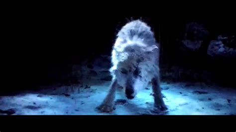 Wolf Attack part 3 BatB clip - YouTube