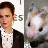 Emma Watson Pets - Celebrity Pets