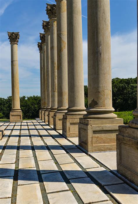 Roman Columns Photograph by Oswald George Addison