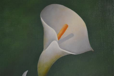 Two Calla Lilies | Margo Munday Fine Art | Classical and Contemporary ...